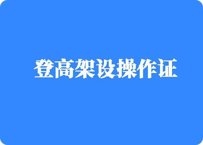 插鸡巴好大好爽免费视频登高架设操作证